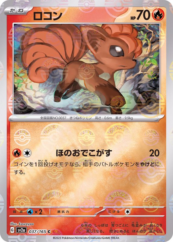 PSA10 やさしいキュウコン ロコン 連番 旧裏 旧裏面 ポケモン