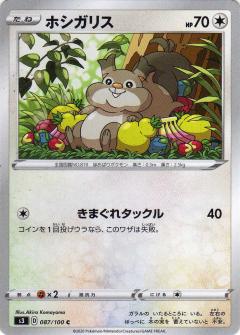 087/100 C Skwovet / ホシガリス - S3