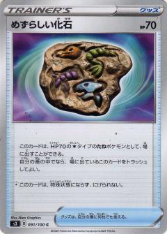 091/100 C Rare Fossil / めずらしい化石 - S3