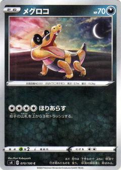 070/100 C Sandile / メグロコ - S4