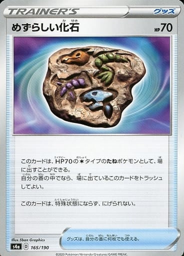 165/190 Rare Fossil / めずらしい化石 - S4A